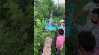 बंदर ने अपनी फ्रेंड  के लिए थप्पड़ मारा #reels #viralvideo #shortvideo #video