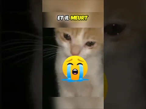 Il souffre et personne ne l'aide à cause de....#shortviral #viral