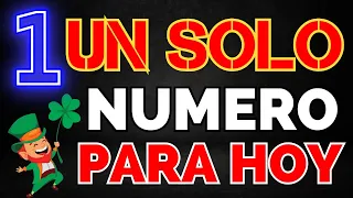 UN SOLO NÚMERO PARA HOY | JOSE NUMERO RD