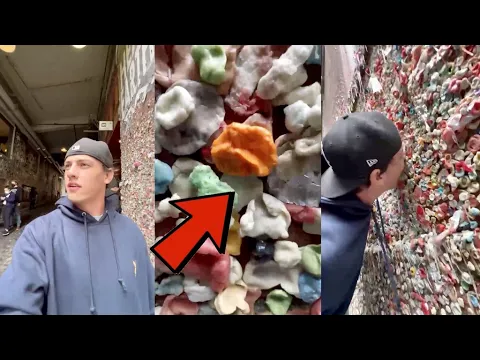 So happy I found his gum... 😋  - #Shorts