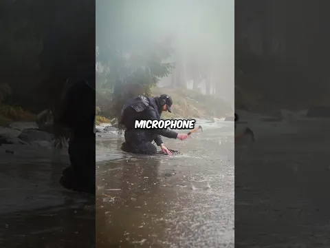 Beautiful Nature Sound