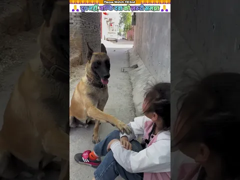 दूध नहीं, बल्कि दवा को ज़रूरी समझा 🙏 #animal #animalrescue #animallover #rescue #dog