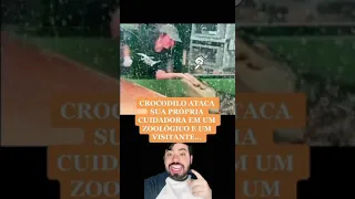 UM CROCODILO MORDEU SUA CUIDADORA E UM VISITANTE DO ZOOLÓGICO RESOLVEU AGIR