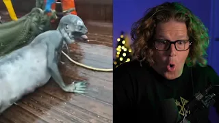 CREEPY TikTok Videos V.12