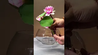 清水出芙蓉，天然去雕饰。