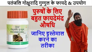 Patanjali Divya Gokshuradi Guggul Tablets Benefits & Review in Hindi | फायदे और उपयोग