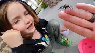 BUG CATCHiNG with NiKO 🕷 Finding Spiders and Worms Outside! Making a new home for our bugs with Dad
