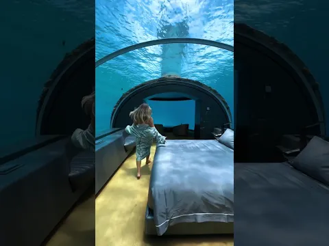 Discover a sanctuary below the surface