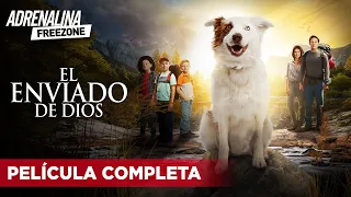 El enviado de Dios - Película completa en español - Película de Aventura | Adrenalina Freezone