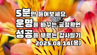 화난 남편에게 사과를 할 수 있는 용기를 주심에 감사합니다. | 잔잔한 수면 공부