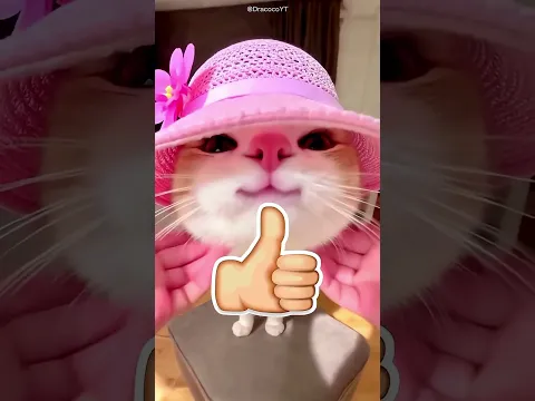 😱 ¡Lo Que Encontró Debajo de la Cama Te Dejará Sin Palabras! 😱