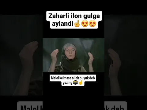 7 ноября 2025 г.