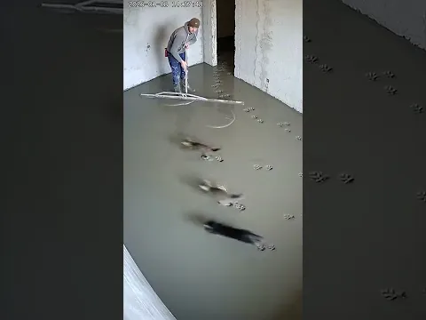 Мужик был в шоке от такой наглости 😂