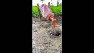 ловим змею на живца #мем #мемы #memes #funny #мемчик #мемас #мемасик #мемасики