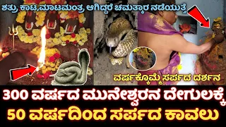 Muneshwara Temple Miracles | ವಾಮಾಚಾರ ಆಗಿದ್ರೆ ಇಲ್ಲಿಗೆ ಬನ್ನಿ | ಸರ್ಪ ಕಾವಲಿರುವ ಮುನೇಶ್ವರನ ಕ್ಷೇತ್ರ