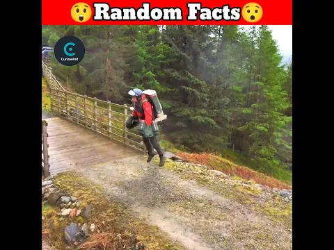 rendom fact #shorts #facts #amazingfact #youtubeshorts