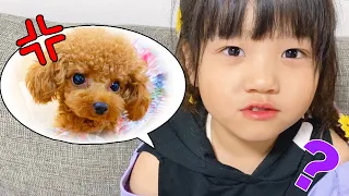 れなちゃんのペット、犬のルイがいなくなった！さがして1歳のお誕生日パーティーをしよう！