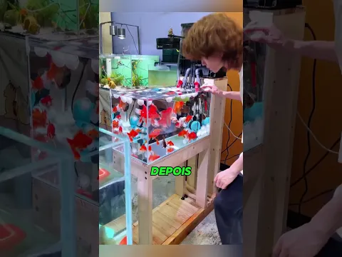 Se você conseguir limpar o aquário, #shortvideo #viralvideo