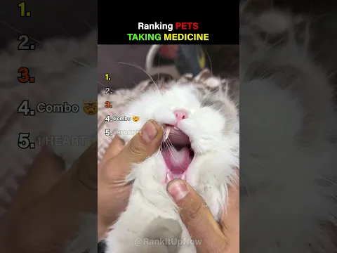 Ranking Pets Taking Medicine #usa