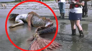 Se Não Fosse Encontrado na Praia, NINGUÉM Jamais Acreditaria Nisso!