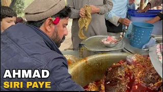 Ahmad Siri Paya | Subah Ka Nashta | Siri Paye | Peshawari Paye | Pakistan Street Food |