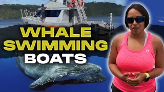 Whale Swimming Boats - Our Boats in Vava'u, Tonga | HumpbackSwims.com