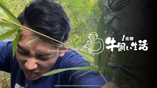 【1日目】牛をお肉にして食べるまで、1週間牛飼いになってみた #1週間牛飼い生活