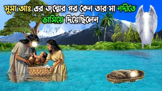 হজরত মুসা আঃ এর জন্মের পর কেন তার মা নদীতে ভাসিয়ে দিয়েছিলেন || Islamic Educational Story