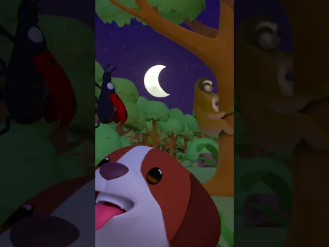 ¡Super velocidad lenta del perezoso! 🦥 | Leo, El Explorador | #shorts #animales #diversión