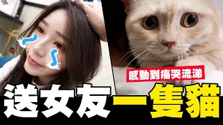 偷偷送女友一隻貓😻讓柔柔感動的痛哭流涕💕#寵愛女友系列 | ep3 @yuchinjou9654