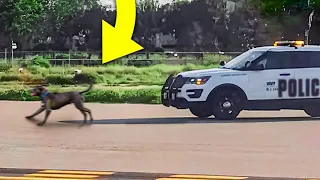 This Dog Hates the Police