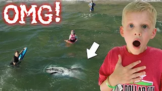 We Had NO IDEA a Shark Was Swimming Next to Us!