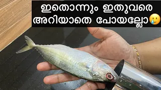 അയല പുട്ടുകുറ്റിയിൽ ഇങ്ങനെ ചെയ്തു നോക്കണേ✌️😋