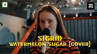 P3LIVE (2021): Sigrid - «Watermelon sugar» (cover)