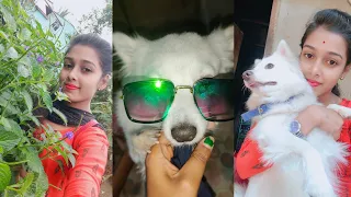 #minivlog আজ আবার ছুটতে হলো ডাক্তারের কাছে😔 + লিজার দুষ্টুমি🤗#shorts #trending #vlog #viral