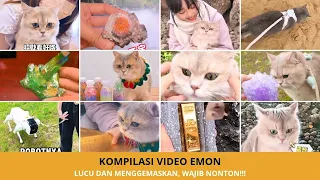 Kompilasi Emon Kucing Pintar Pemburu Emas 💰 | Video Kucing Lucu & Viral Terbaru 2025