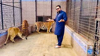3 din say bukhay sheron ma a gya😱