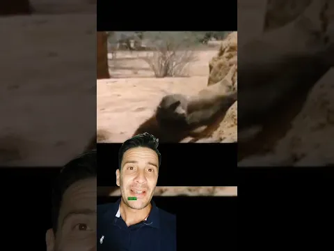 La increíble manera de encontrar agua #curiosidades  #shortsviral #shortvideos