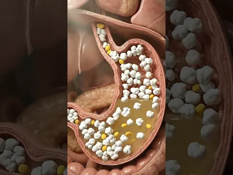 What Happens Inside Your Body If You Swallow a Raw Egg? #humanbody #shorts #animation
