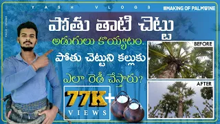 తాటి చెట్టు || అడుగు కోయడం || పోతు చెట్టు అడుగు కోయడం