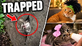 She Was Trapped Inside a Rock Until This Happened