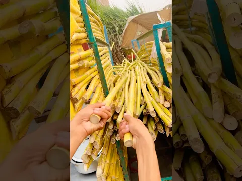 Sugarcane prank ? wait for twist funnyprank #desilog #qaisarmuneer