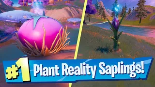 Plant or Summon Reality Saplings using Reality Seeds Location - Fortnite