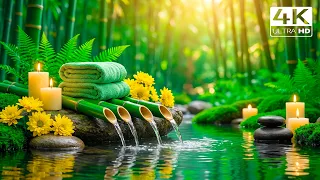 Relaxation Music/ Bamboo Water Fountain + Healing Piano 🌿 Sleep Music, Meditation and Nature Sounds