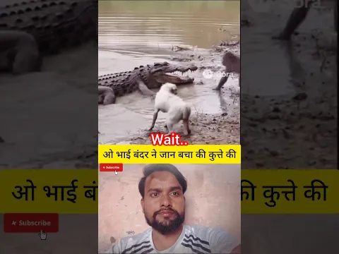 #sehar