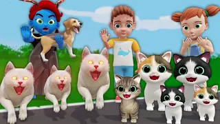 बिल्ली के बच्चे और भूत 2 | Billi Ke Bache | Chintu | pagal beta |comedy video | cs bishtvines