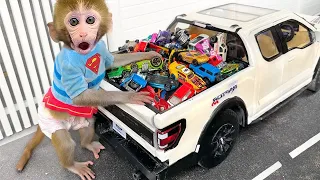 Monyet Bon Bon Imut mengendarai traktor penuh kayu melewati jalan lava