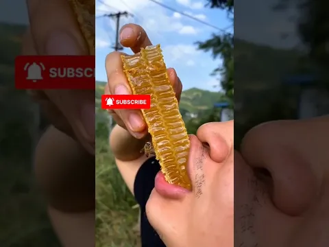 #awezchaitrend