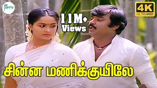 சின்ன மணி குயிலே மெல்ல வரும் மயிலே | Chinnamani Kuyile | SPB | Super Hit Melody Song | 4K