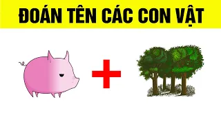 Đố vui đoán tên các con vật qua hình ảnh- tiếp theo